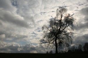 070_AJW_16_(20.-22.11.2015)