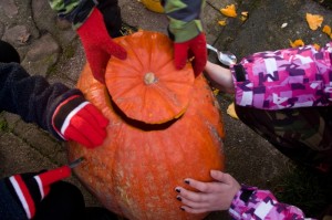 089_AJW_16_(20.-22.11.2015)