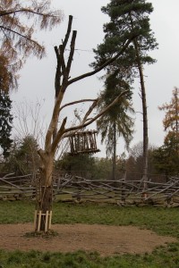 019 ZOO Olomouc (12.11.2016)