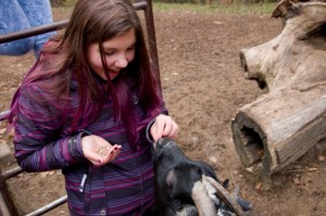 023 ZOO Olomouc (12.11.2016)