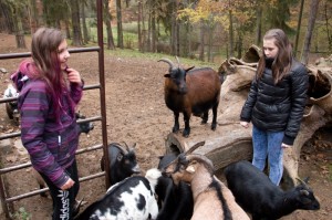 024 ZOO Olomouc (12.11.2016)