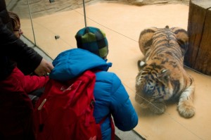 026 ZOO Olomouc (12.11.2016)