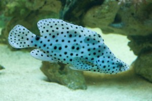 027 ZOO Olomouc (12.11.2016)