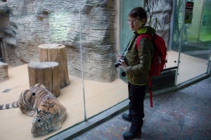 037 ZOO Olomouc (12.11.2016)