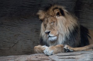 038 ZOO Olomouc (12.11.2016)