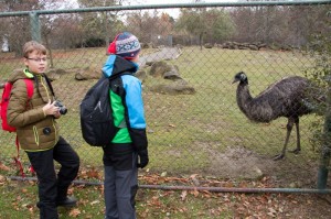 043 ZOO Olomouc (12.11.2016)