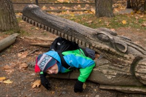 052 ZOO Olomouc (12.11.2016)