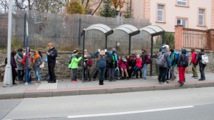 064 ZOO Olomouc (12.11.2016)