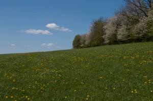 085 Vikend s rodici Markousovice (6.-8.5.2016)