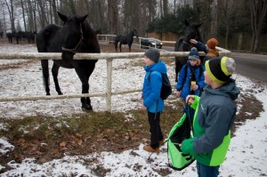 006 Zdobeni vanocniho stromecku Slatinany (23.12.2016)