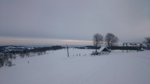 DSC 3505