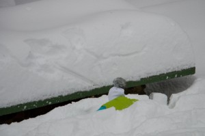 013 LVK Vitkovice 2.-8.1.2017