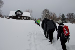 014 LVK Vitkovice 2.-8.1.2017