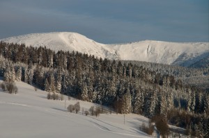 085 LVK Vitkovice 2.-8.1.2017