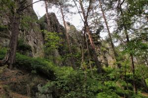 024 Jizera VII.A (5.-7.6.2017)