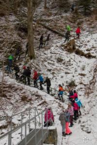 016 STOD 8-2 VIII.A Doubravka (5.-9.3.2018)