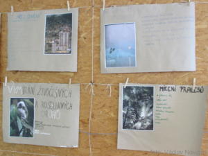 135 STOD 8-2 VIII.A Doubravka (5.-9.3.2018)